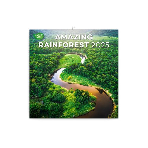 Falinaptár képes lemeznaptár 300x300mm, Amazing Rainforest Realsystem 2026.