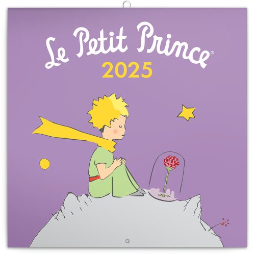 Falinaptár képes lemeznaptár 300x300mm, Le Petit Prince Realsystem 2026.