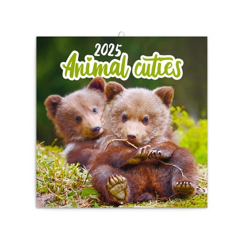 Falinaptár képes lemeznaptár 300x300mm, Animal Cuties Realsystem 2026.