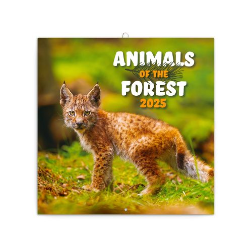 Falinaptár képes lemeznaptár 300x300mm, Endangered Animals Realsystem 2026.