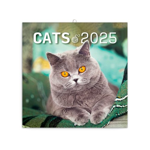 Falinaptár képes lemeznaptár 300x300mm, Cats Realsystem 2026.