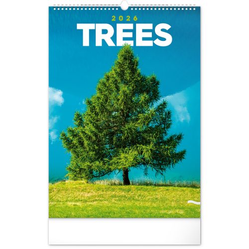 Falinaptár képes  330×460mm Trees  Realsystem 2026.