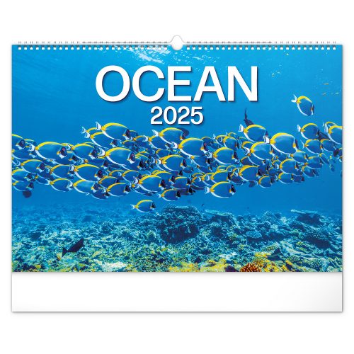Falinaptár képes  480×330mm Ocean Wildlife Realsystem 2026.