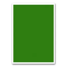 Etikett címke, 210x297mm, 1 címke/lap zöld Bluering®